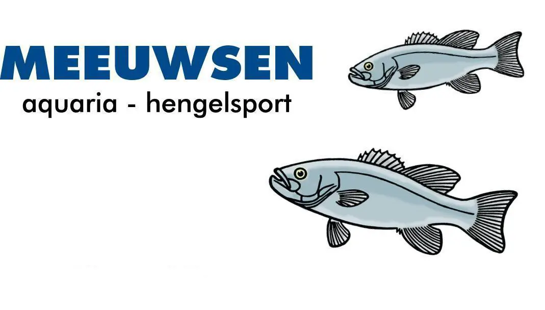 MEEUWSEN aquaria - hengelsport logo