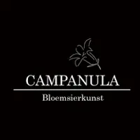 Campanula Bloemsierkunst