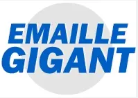 Emaillegigant.nl logo