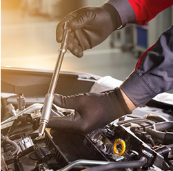 Car Detailing de Vries