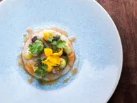 Ratatouille Food and Wine