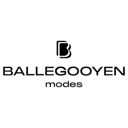 Ballegooyen Modes