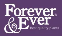 www.forever-ever.eu logo