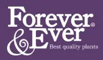 Forever and ever