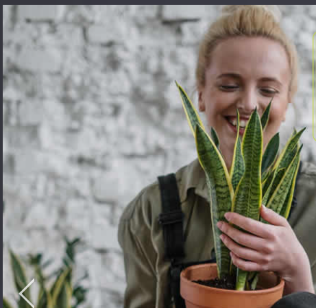 TuinGroen Stadskanaal