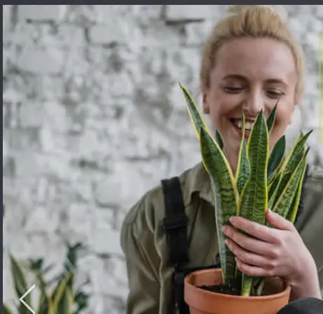TuinGroen Stadskanaal