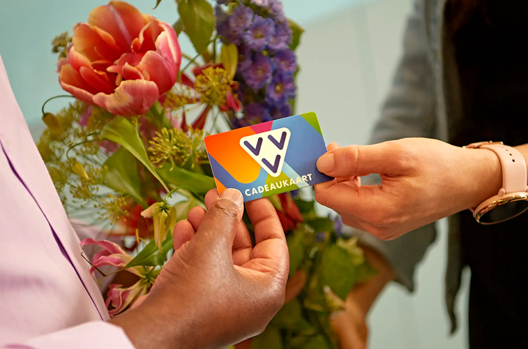 VVV Cards