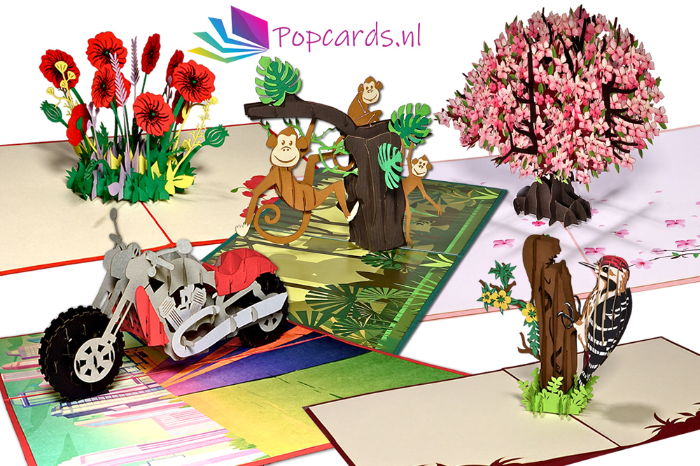 Popcards Pop-up Kaarten & Wenskaarten